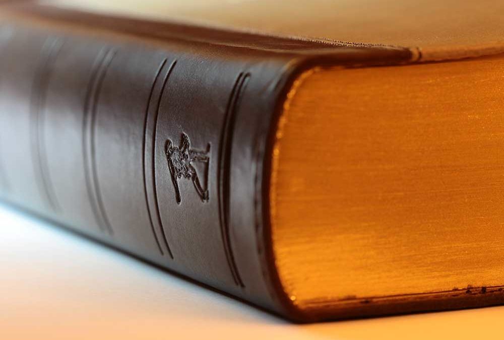 Education Law